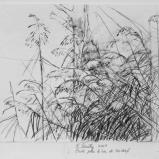 Bernard Bailly, Etude pour le Lac de Seedorf, 2009, Graphite sur papier torchon, 24 x 32 cm
