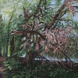 Bernard Bailly, Lac de Morat, Grengspitz, arbre cassé, 2012, Peinture acrylique sur toile, 150 x 200 cm